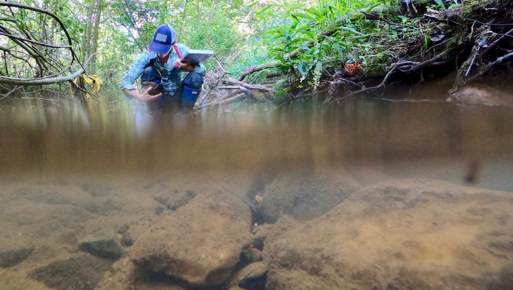 Studying aquatic ecology in the rivers of North Carolina.