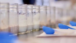 Sourdough starter experiment with REU students and Erin McKenney.