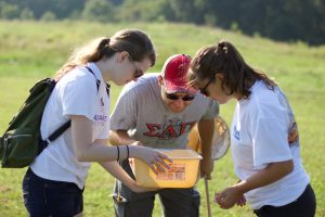 Collecting insects from grasses at NC Art Museum.